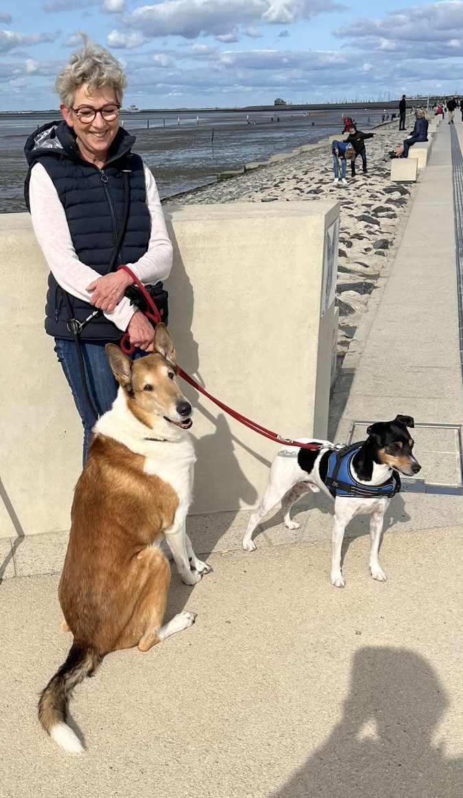 8e005c51-08a6-4f9a-ac66-01c5f9eff4a8